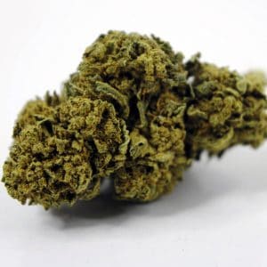 Cannatonic Cogollos de CBD. Cannabis 100% Legal